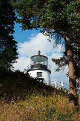 Hilltop Lighthouse by Evergreen Trees in Maine